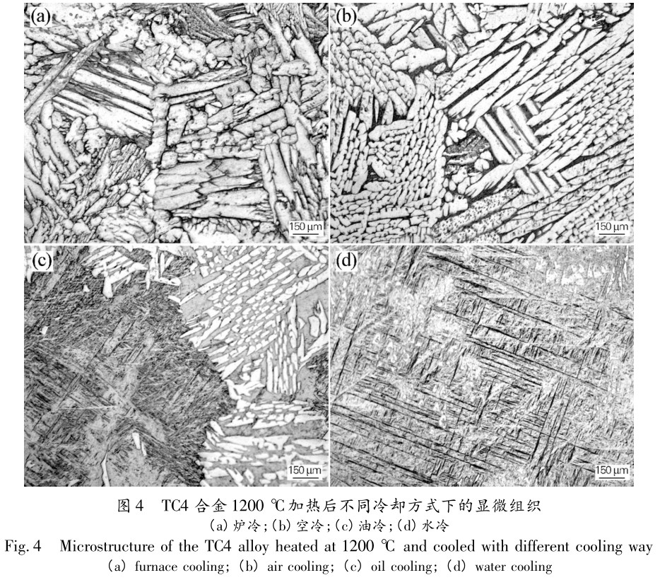 熱處理工藝對TC4鈦合金厚板組織及硬度的影響